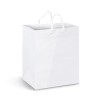 Full Colour Medium Laminated Carry Bags